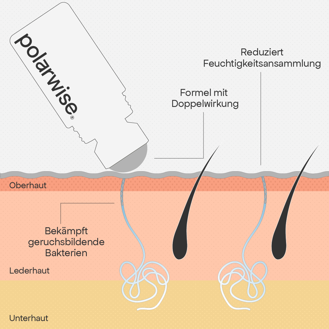 Die Lösung
