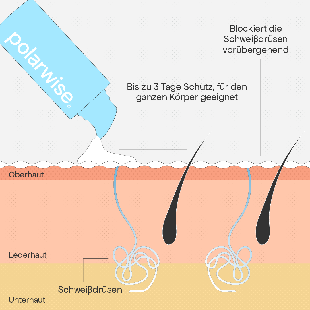 Die Lösung