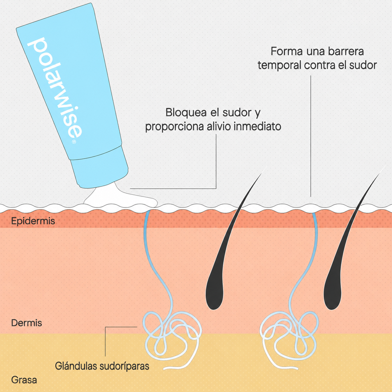 La solución