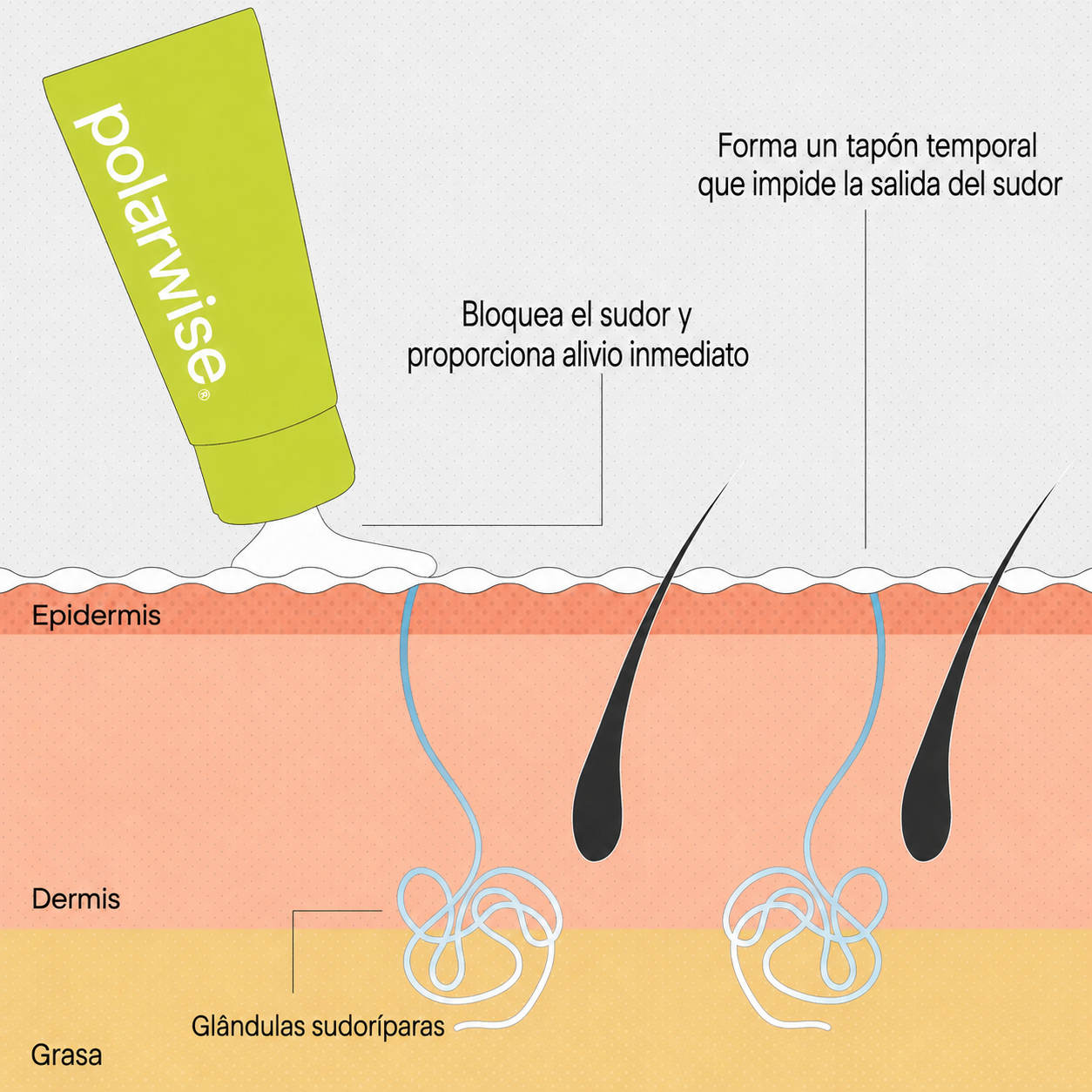 La solución