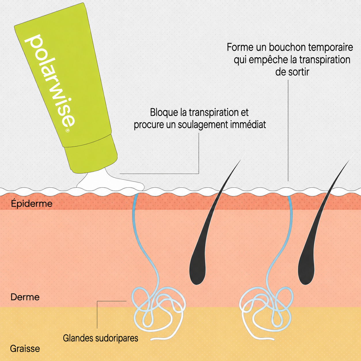 La solution