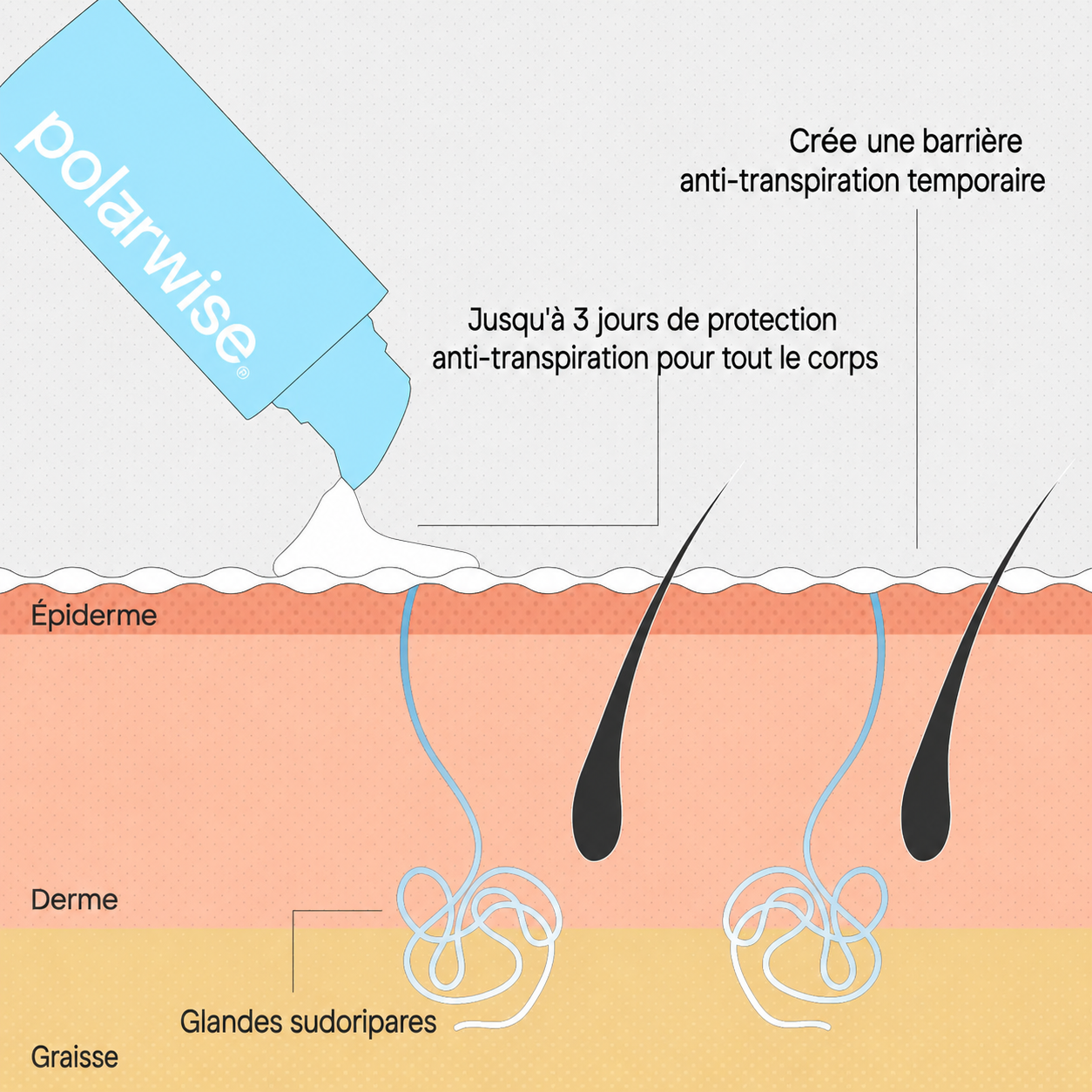La solution