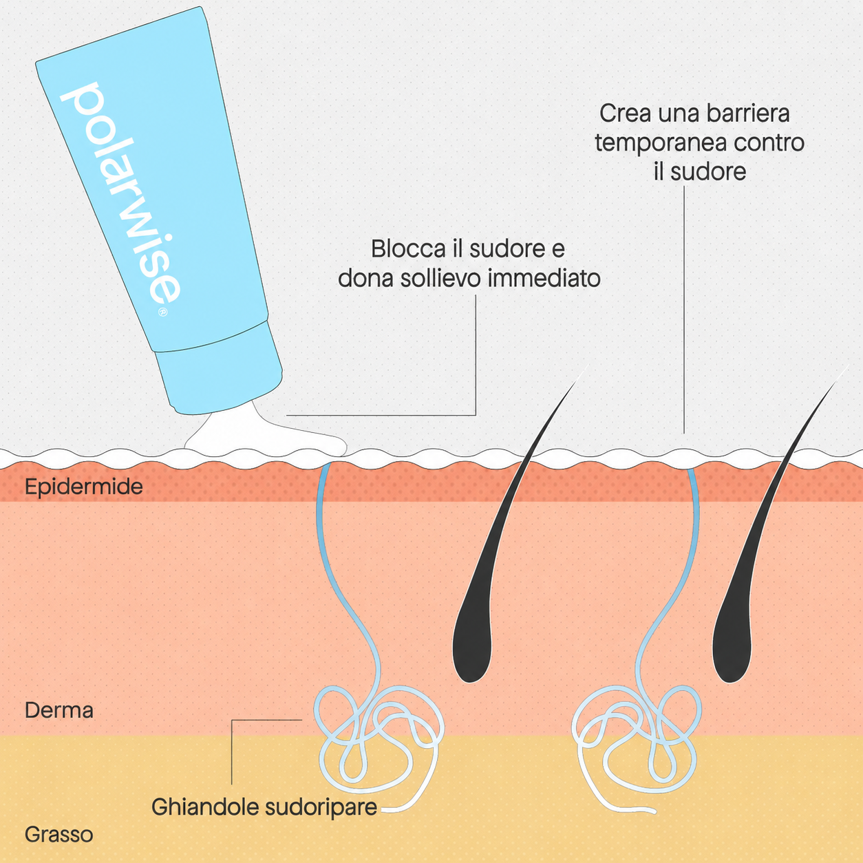 La soluzione