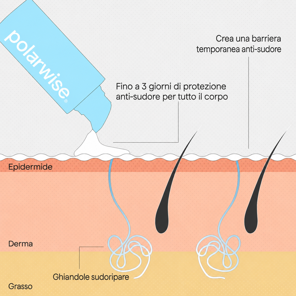 La soluzione