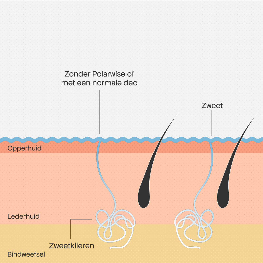 Het probleem