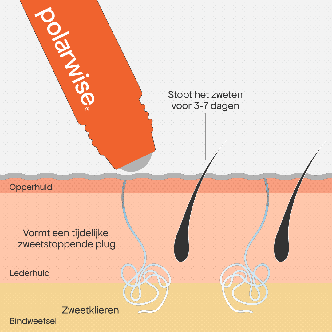 De oplossing