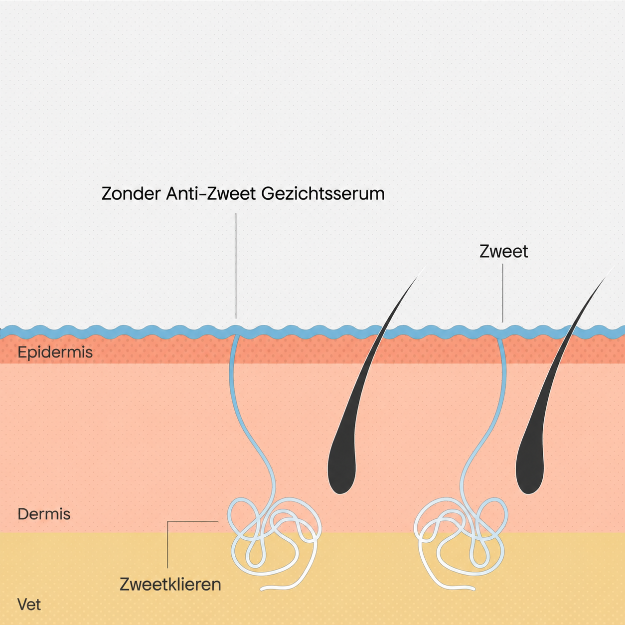 Het probleem