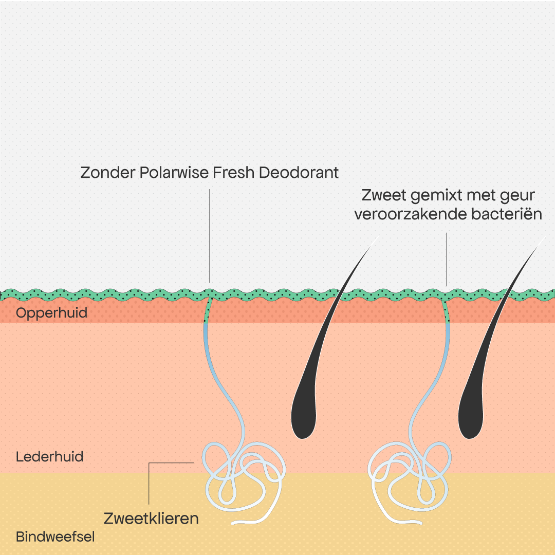 Het probleem