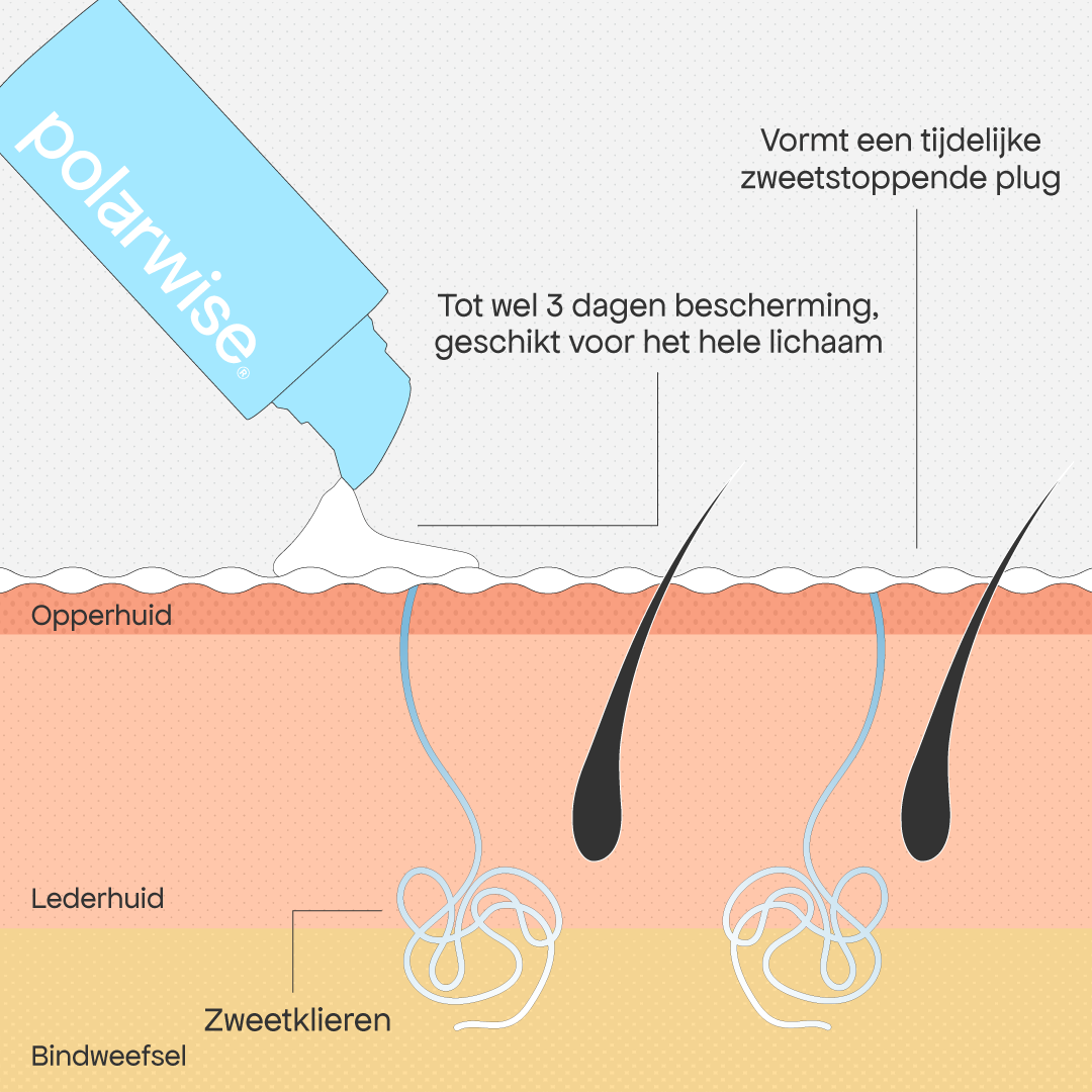 De oplossing