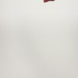 lang_pt